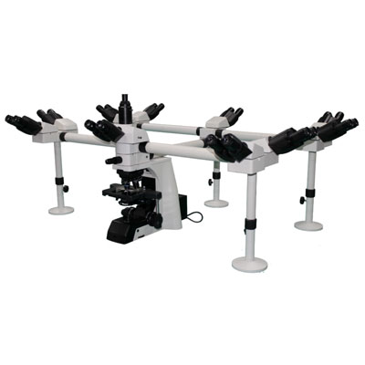 <span style=''>顯微鏡</span>